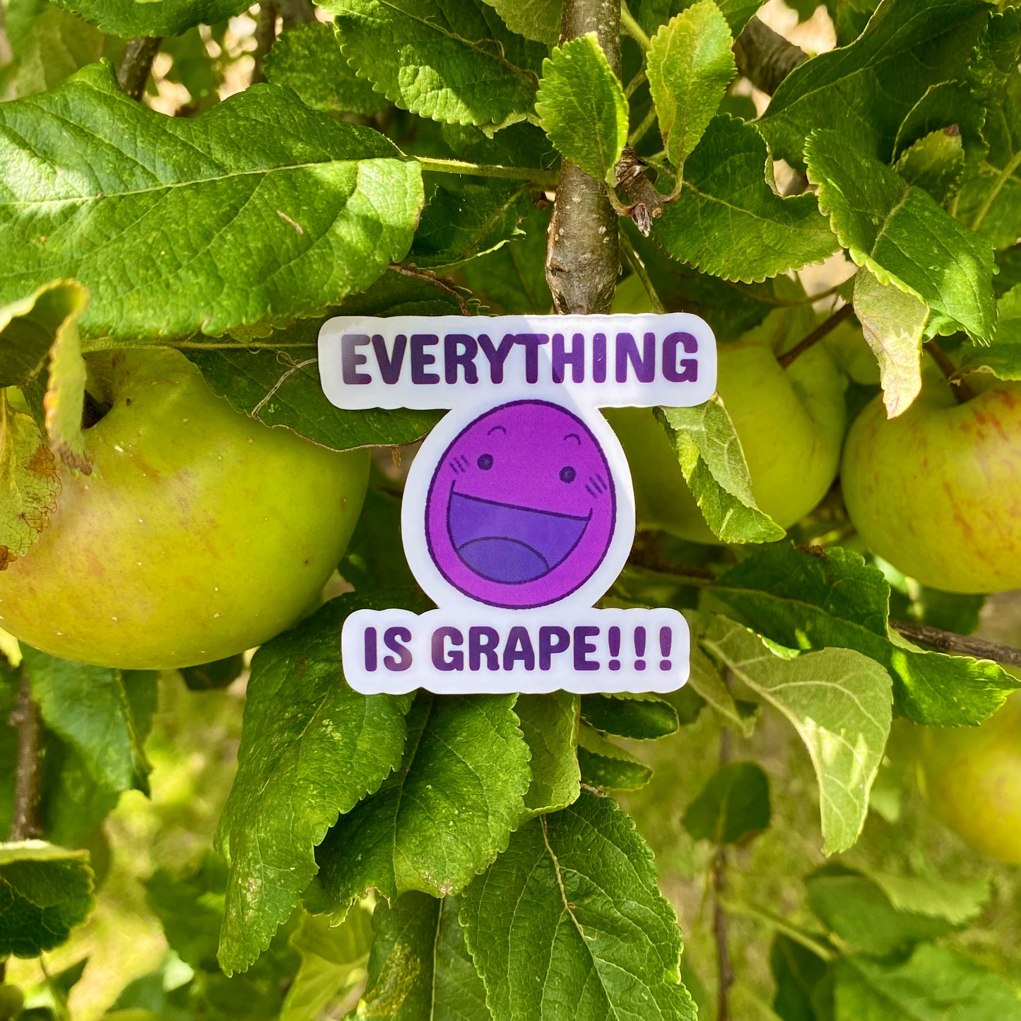 Grape Sticker
