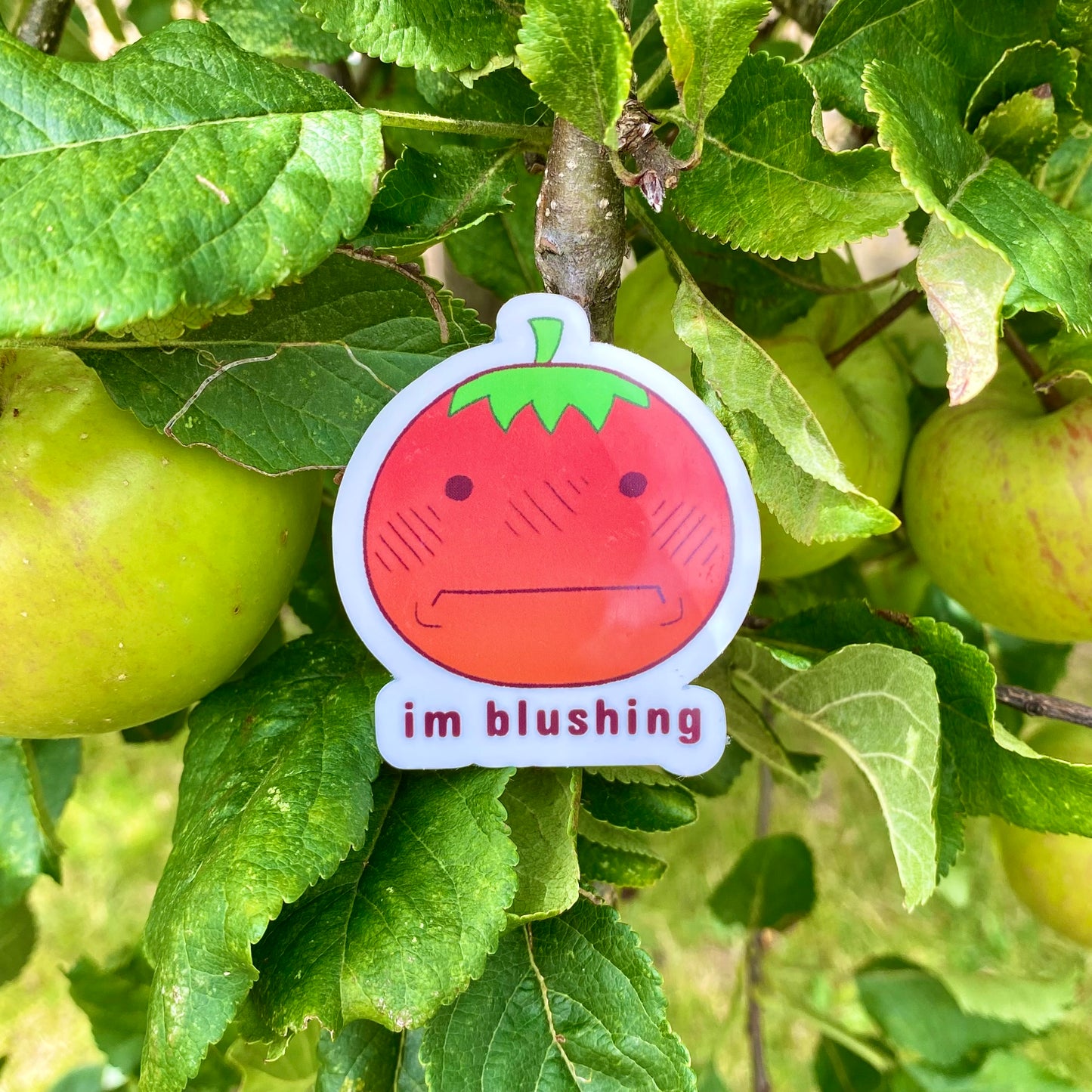 Tomato Sticker