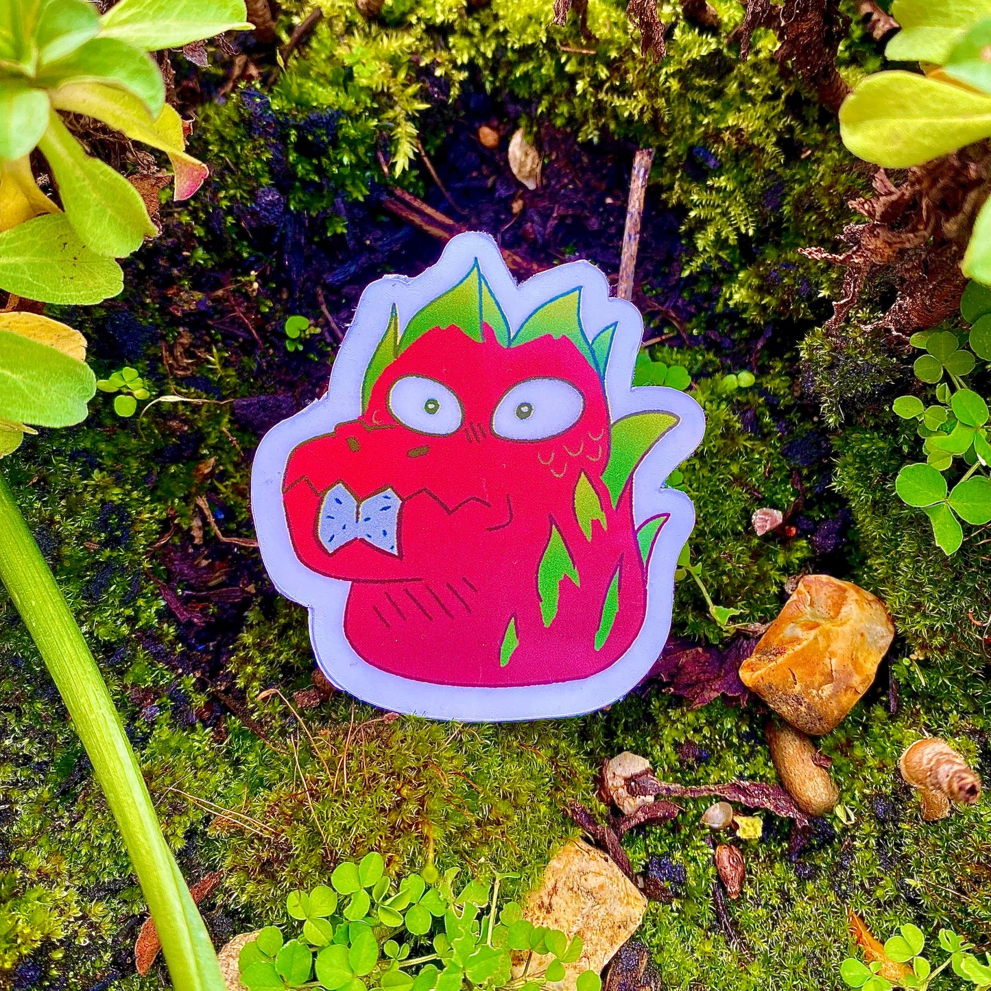 Dragonfruit Sticker