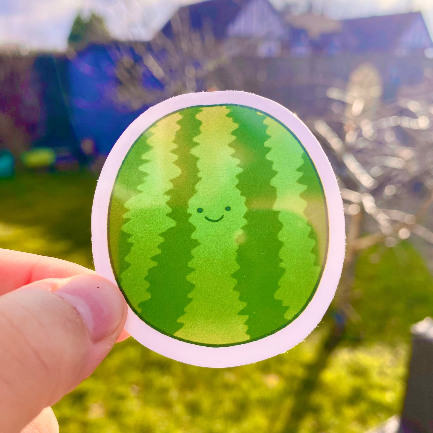 Watermelon Sticker