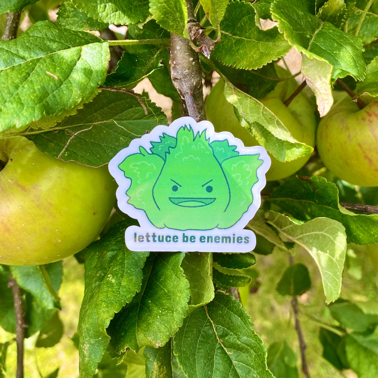 Lettuce Sticker