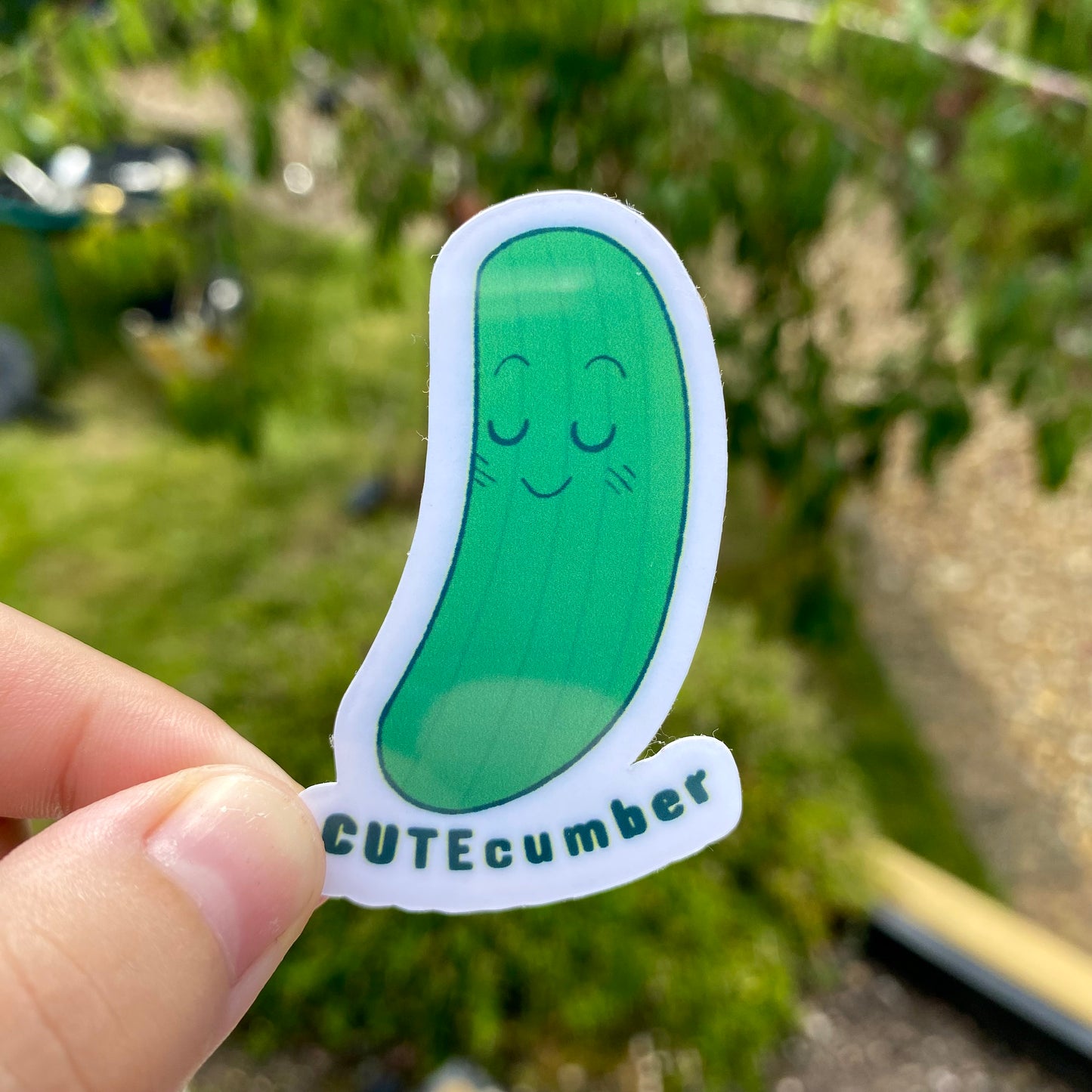 Cucumber Sticker