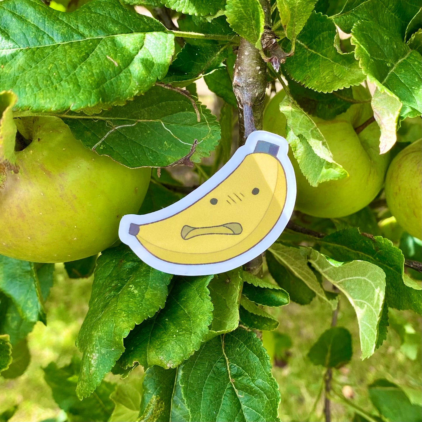 banana sticker