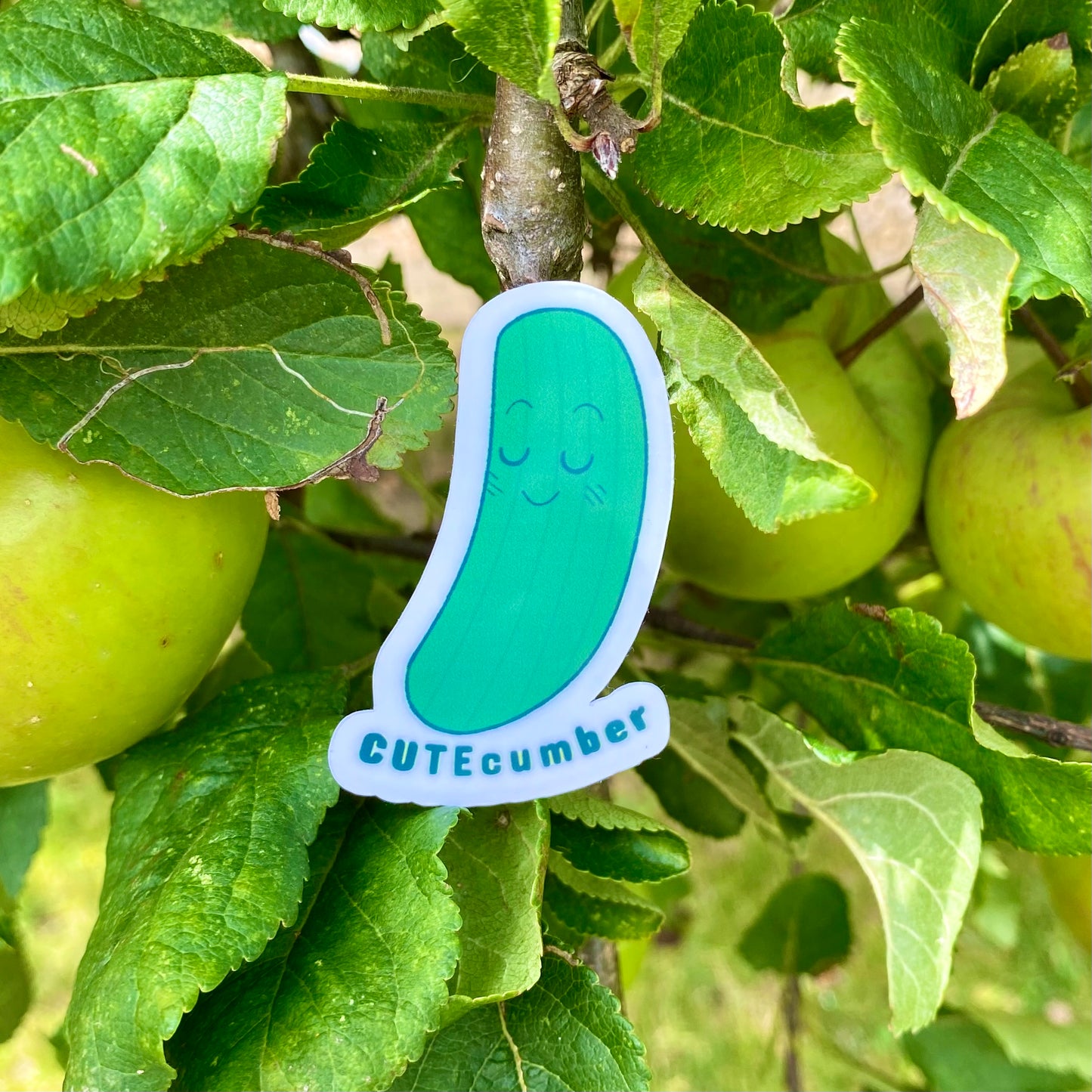 Cucumber Sticker