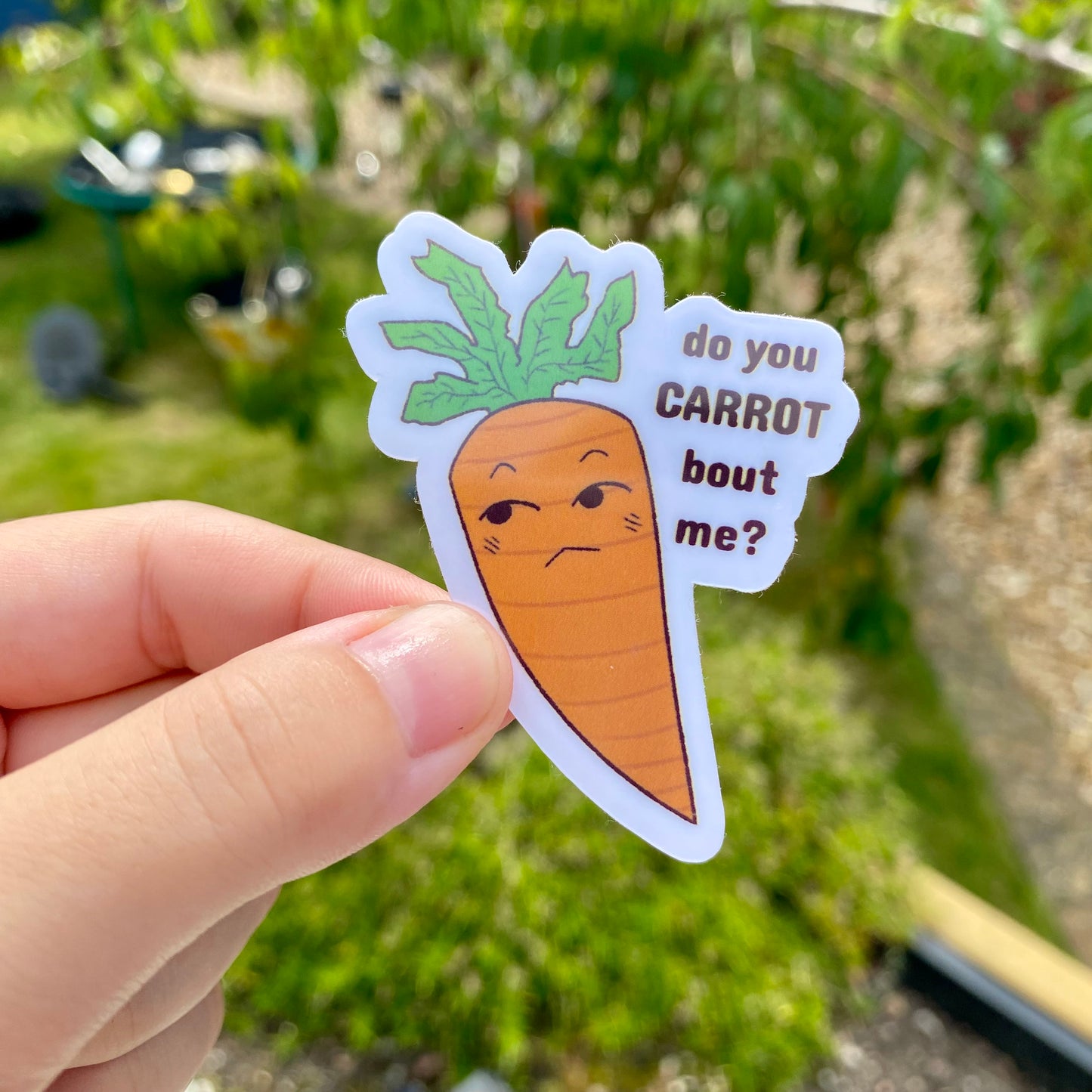 Carrot Sticker