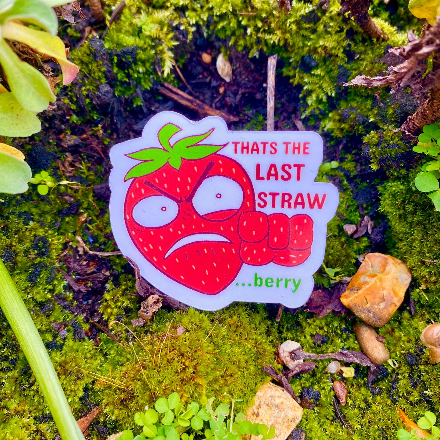Strawberry Sticker