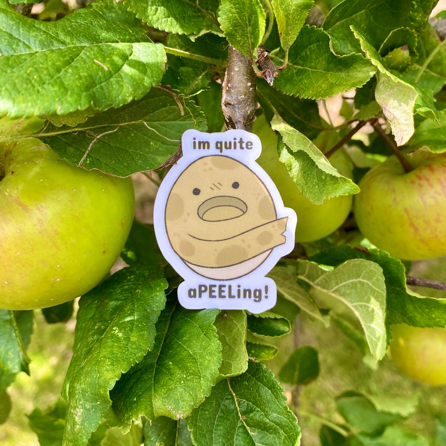 Potato Sticker