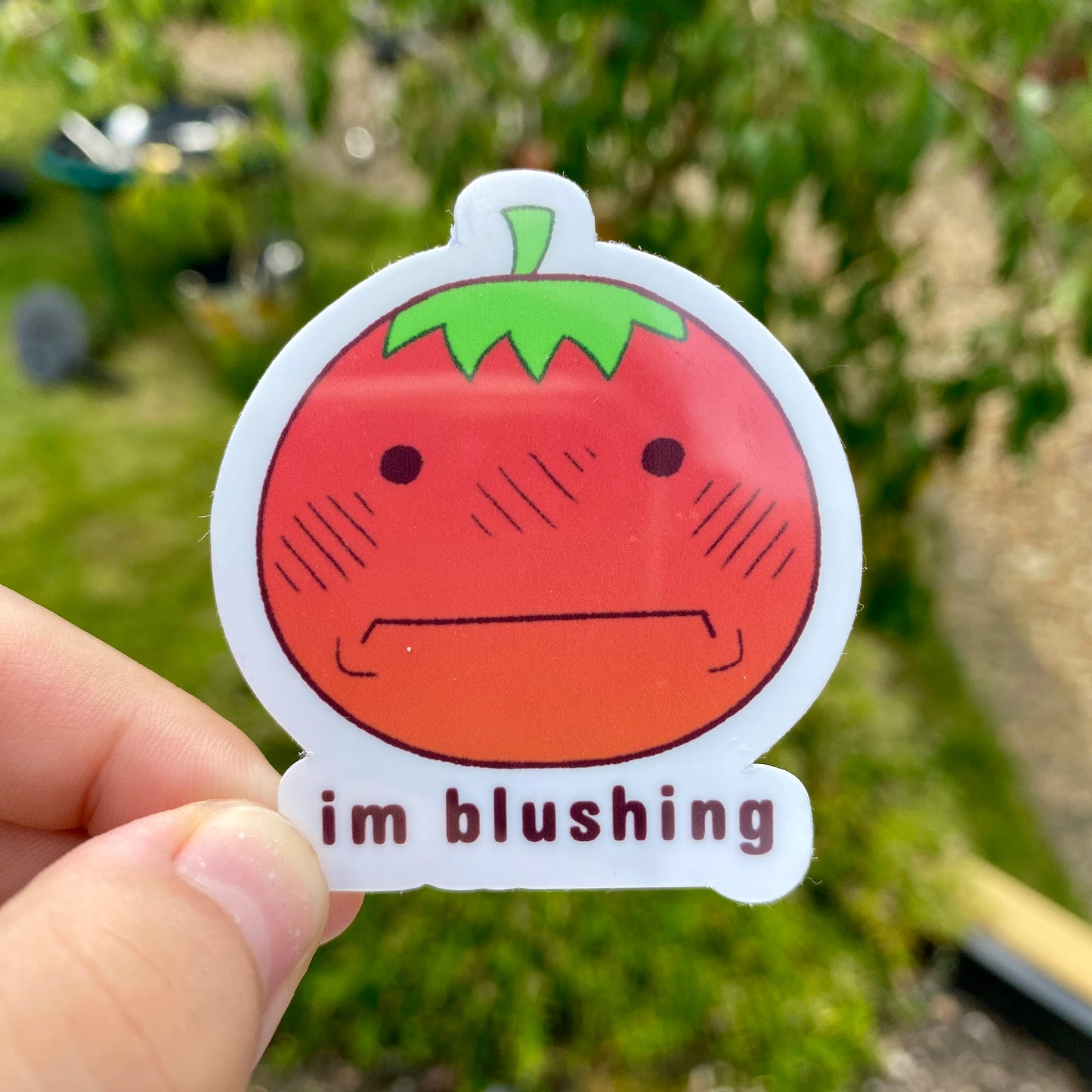 Tomato Sticker