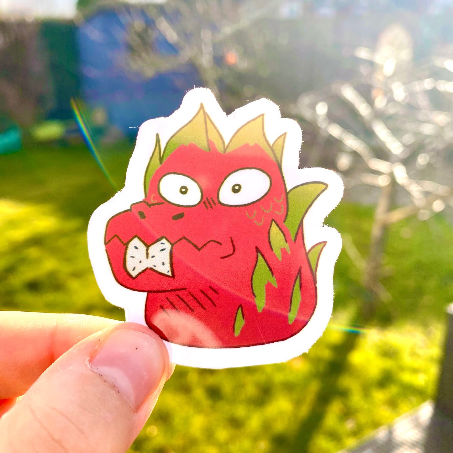 Dragonfruit Sticker