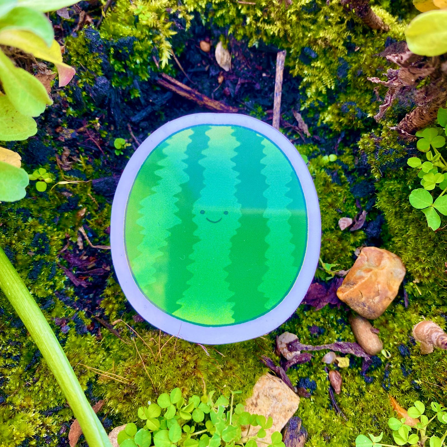 Watermelon Sticker