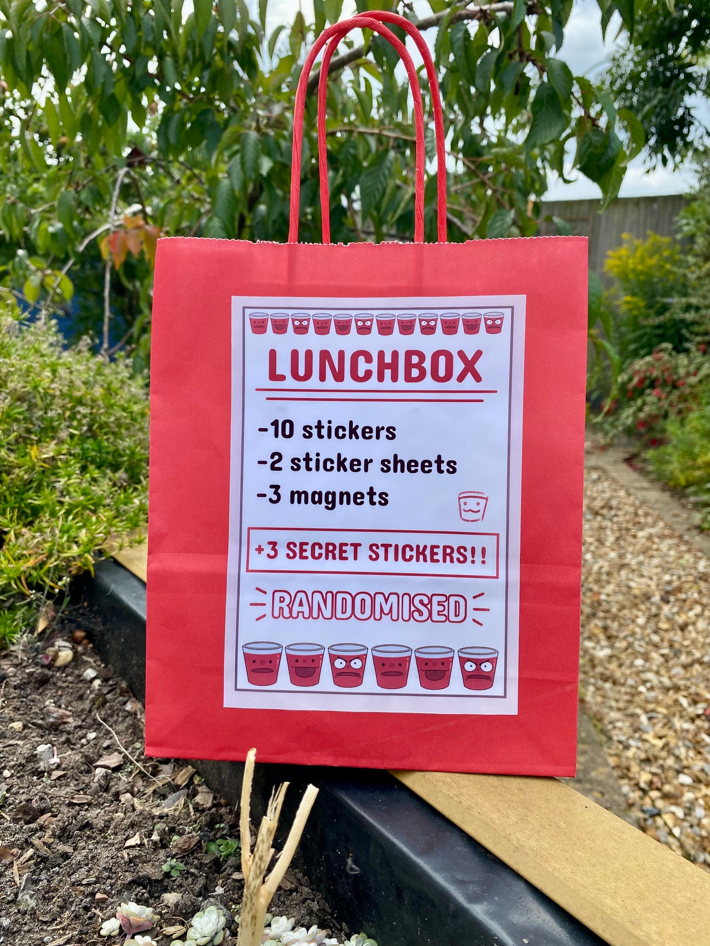 Lunchbox Gift Bag!