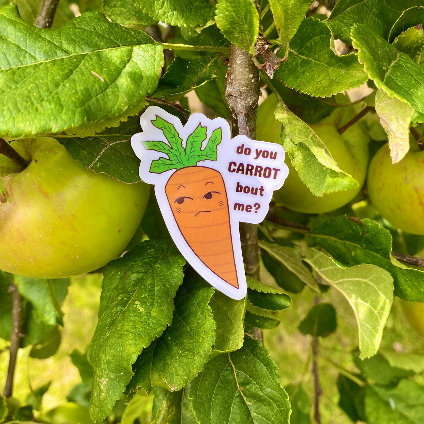 Carrot Sticker