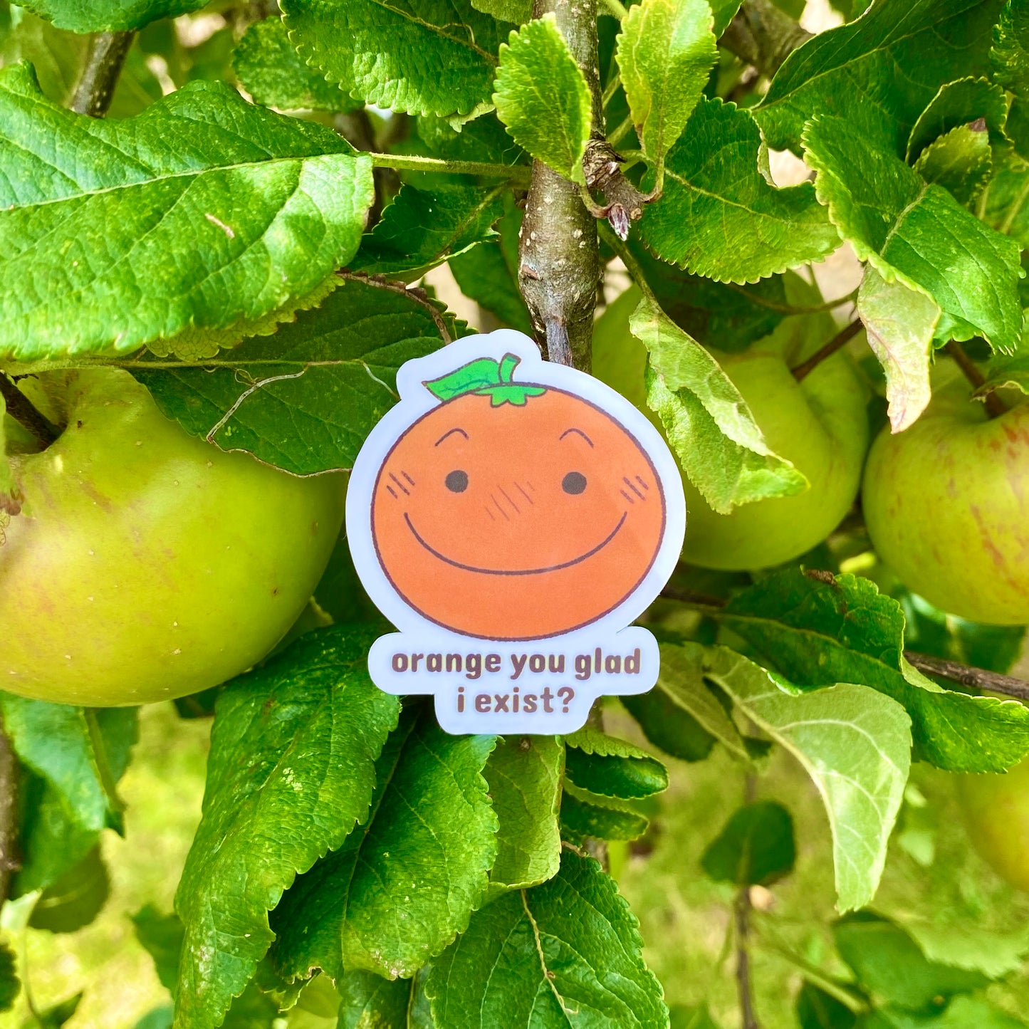 Orange Sticker