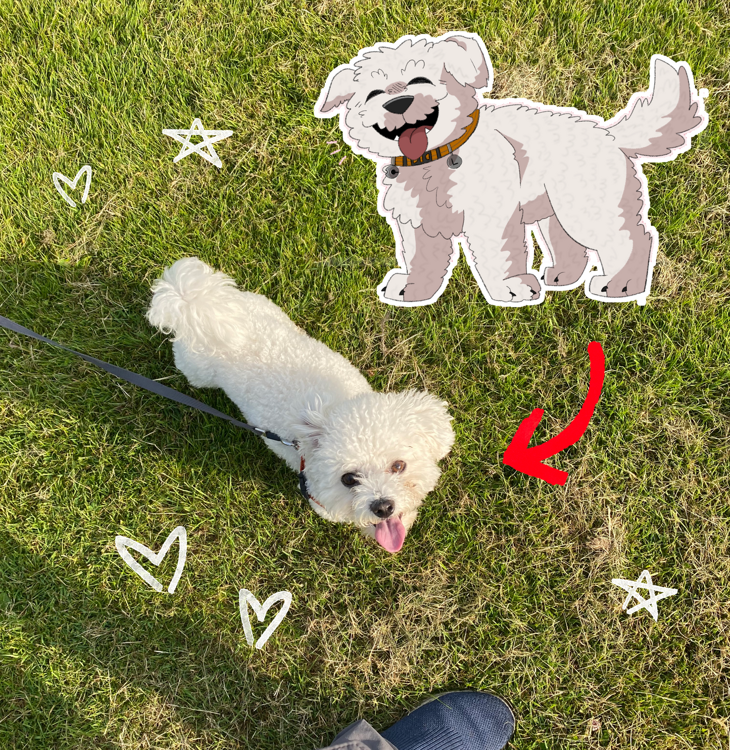 Cartoon Pet Commission